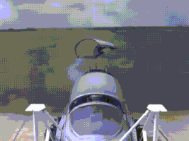 lunch taco GIF