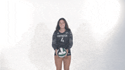 Huntington University Hu Volleyball GIF by FDN Sports