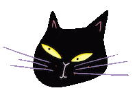 Black Cat Sticker