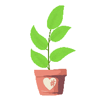 Plant Sommer Sticker by Möbel Höffner