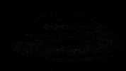 rifugiofazzon rifugiofazzon lagodeicaprioli GIF