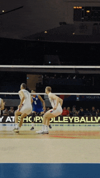 Happy Celebration GIF by Volleyball World