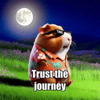Journey Trust GIF by Guinea Gambino