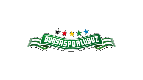 Football Soccer Sticker by bursasporluyuzorg