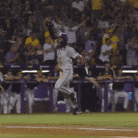 College Sports Celebration GIF by LSU Tigers