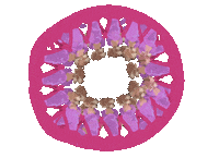 Plants Palms Sticker