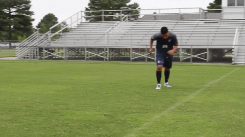 Wethebeach Virginiawesleyan GIF by VWU Marlins