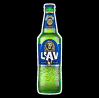 GIF by Lav Pivo