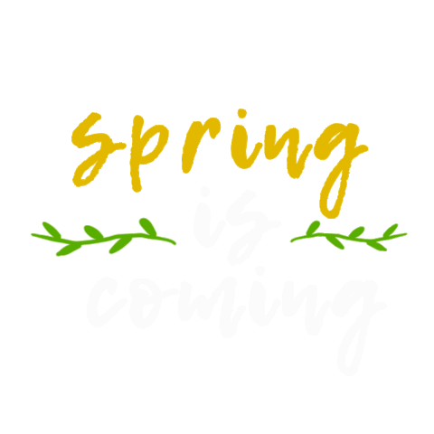 vik21-jui giphyupload spring весна spring is coming Sticker