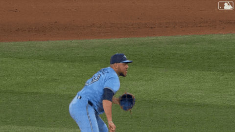 Lets Go Celebration GIF by Toronto Blue Jays