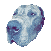 faded STICKER by imoji