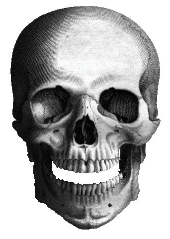 Skull Sticker by Golarrolê Crew