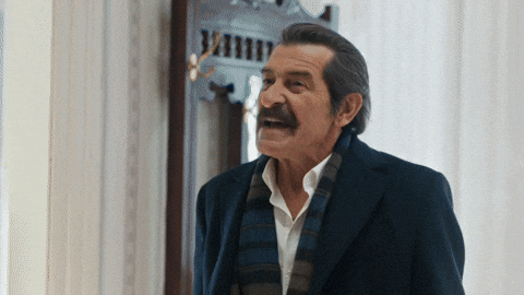 Show GIF by Ay Yapım