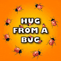 I Love You Bugs GIF