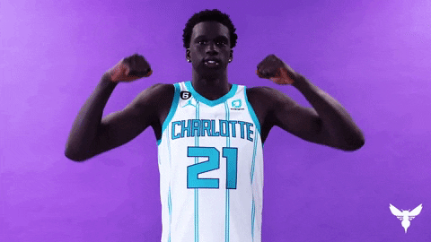 Basketball Nba GIF by Charlotte Hornets