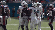 Stefon Diggs Football GIF by New England Patriots