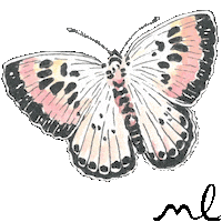Fashion Illustration Sticker by Morgan Lane