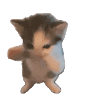 Cat Sticker
