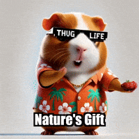 Wisdom GIF by Guinea Gambino