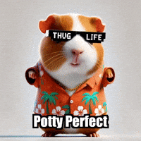 Guinea Pig Hygiene GIF by Guinea Gambino