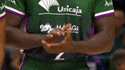 Liga Endesa Basketball GIF by ACB