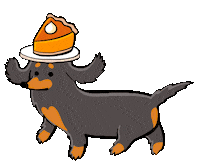 Pumpkin Pie Cooking Sticker by Stefanie Shank