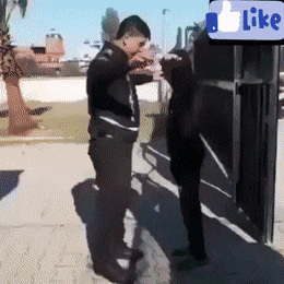 giffunme giphyupload GIF