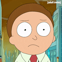 Season 3 Episode 307 GIF by Rick and Morty