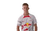 Lets Go Football Sticker by RB Leipzig