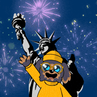 United States Usa GIF by BoDoggos