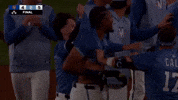 Washington Nationals Win GIF by MLB