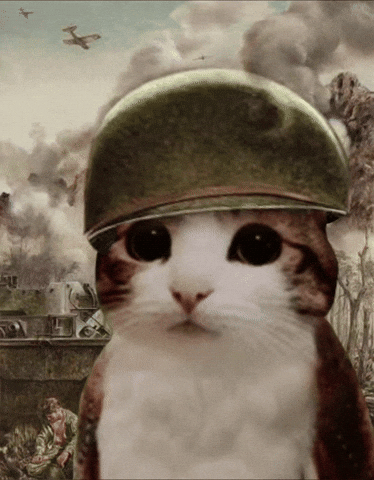 1000 Yard Stare Army Meme GIF