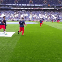 espanyolfcb GIF by FC Barcelona