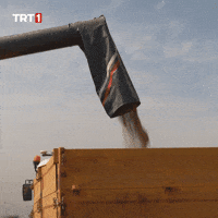 Loading Give GIF by TRT
