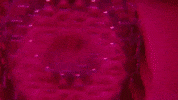 The Optimist Worst Enemy GIF by Evie Irie