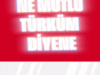 Turkey GIF by Socinflu