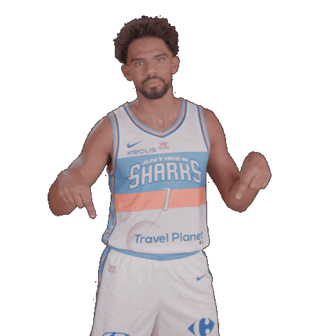 Sharksantibes Sticker by Antibes Sharks