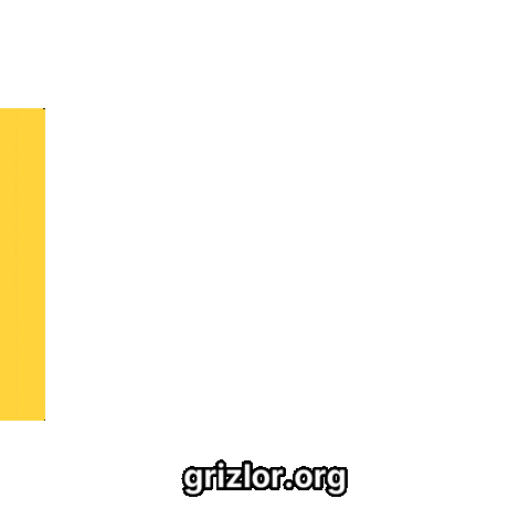 Bear Joy Sticker by grizlor