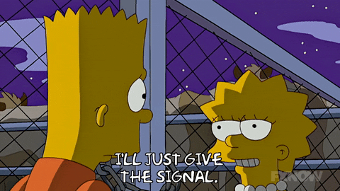Lisa Simpson GIF by The Simpsons