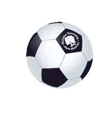 Soccer Sticker by Dundee Township Park District