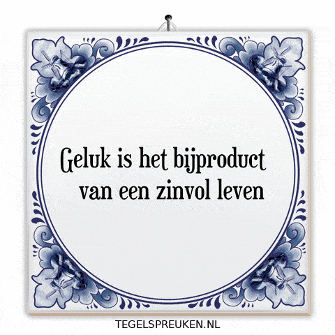 Humor Nl GIF by Tegelspreuken.nl