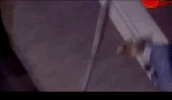 shao nian bao qing tian kungfu GIF