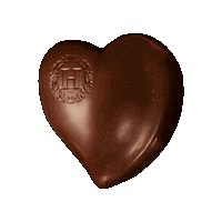 Chocolate Cacau Sticker by Haoma ®
