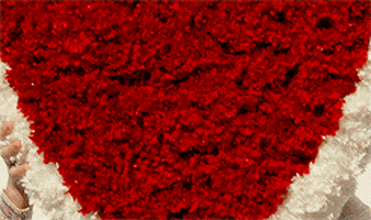 taylor swift GIF by mtv