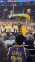 Man Escorted From Lakers Game After Confrontation with LeBron James