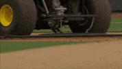 GIF by Alabama Crimson Tide