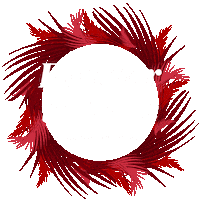 South Carolina Graduation Sticker by University of South Carolina