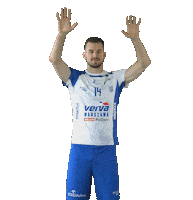 Volleyball Block Sticker by VERVA Warszawa ORLEN Paliwa