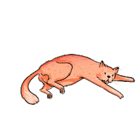 Cat Fatcat Sticker