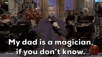 Saturday Night Live Snl GIF